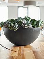 Кашпо Cascara couple relief sepia D50 H50 см