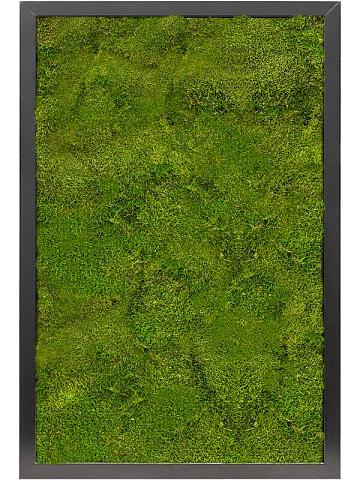Картина из мха mdf ral 9005 satin gloss 100% flat moss