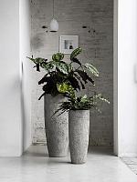 Кашпо Oyster dax l imperial white D36 H80 см