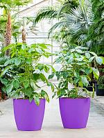 Кашпо Baq ecoline phoenix regular couple D33 H28 см