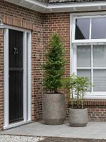 Кашпо Cement & stone harith m, dioriet grey D42 H38 см