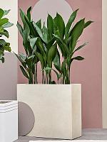 Кашпо Grigio divider antique white L80 W30 H68 см