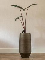 Ваза Norell pot tall chestnut D31 H70 см