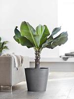 Кашпо Ecopots amsterdam 40 grey D40 H35 см