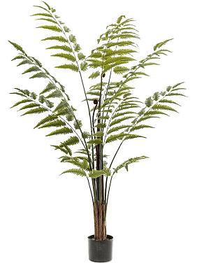 Папоротник искусственный