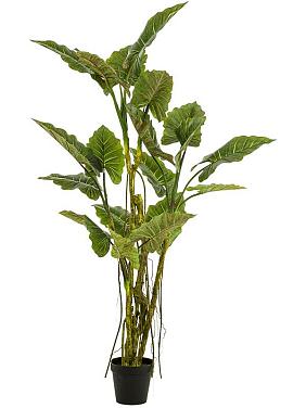 Колоказия в горшке искусственная Колоказия в горшке искусственная