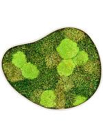 Картина из мха organic frame #3 sand mos (mix) L50 W43 H5 см