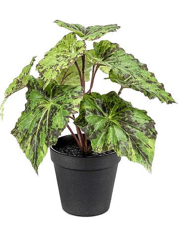 Бегония в горшке искусственная Бегония в горшке искусственная