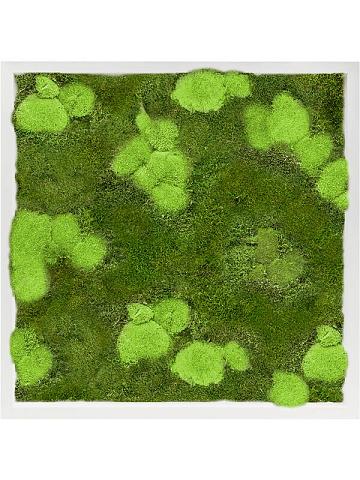 Картина из мха mdf ral 9010 satin gloss 30% ball- and 70% flat moss