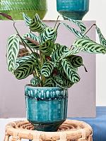 Кашпо Otis pot 2-tone petrol D13 H13 см Кашпо Otis pot 2-tone petrol D13 H13 см