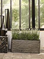 Кашпо Capi nature rib nl planter rectangle anthracite L73 W39 H32 см Кашпо Capi nature rib nl planter rectangle anthracite L73 W39 H32 см