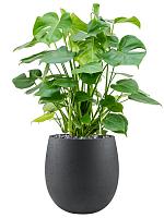 Кашпо Grigio balloon anthracite D42 H42 см