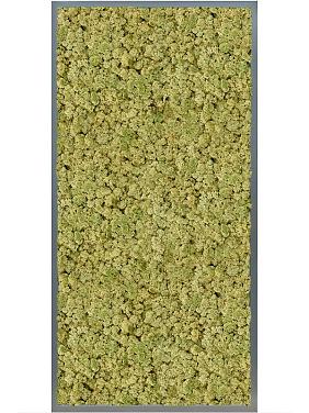 Картина из мха mdf ral 7016 satin gloss 100% reindeer (oldgreen) Картина из мха mdf ral 7016 satin gloss 100% reindeer (oldgreen)