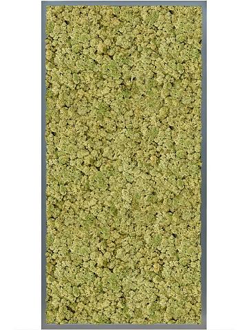 Картина из мха mdf ral 7016 satin gloss 100% reindeer (oldgreen) Картина из мха mdf ral 7016 satin gloss 100% reindeer (oldgreen)