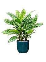 Кашпо Vibes fold round wheels deep blue D35 H32 см