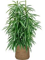 Кашпо Bohemian patt l straw grass D35 H30 см Кашпо Bohemian patt l straw grass D35 H30 см