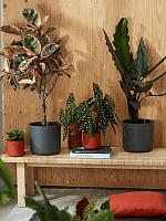 Кашпо B.for soft round anthracite D35 H32 см