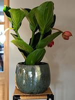 Кашпо Odile pot blue D21 H17 см