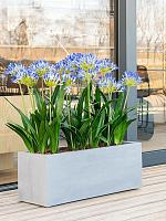 Кашпо Argento box natural grey L80 W30 H30 см Кашпо Argento box natural grey L80 W30 H30 см