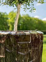 Кашпо Cascara vase safari chiq D52 H95 см Кашпо Cascara vase safari chiq D52 H95 см