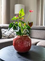 Кашпо Riven pot lipstick red D25 H23 см