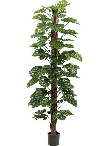 Монстера на опоре искусственная Монстера на опоре искусственная