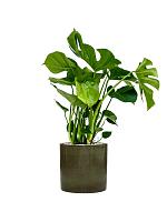 Кашпо Cylinder pot green D30 H30 см Кашпо Cylinder pot green D30 H30 см