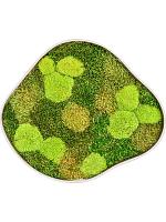 Картина из мха organic frame #2 sand mos (mix) L50 W43 H5 см