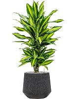 Кашпо Baq raindrop darcy anthracite D30 H26 см