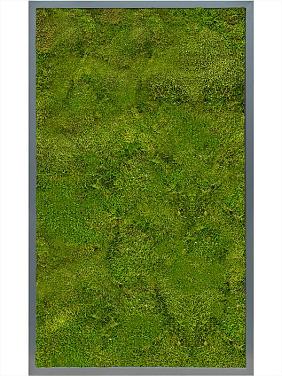 Картина из мха mdf ral 7016 satin gloss 100% flat moss Картина из мха mdf ral 7016 satin gloss 100% flat moss