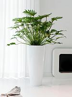 Кашпо Fiberstone dax xl glossy white D47 H100 см