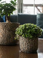 Кашпо Maxim pot shiny earth D11 H9 см