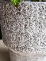 Кашпо Silas pot stone D14 H16 см Кашпо Silas pot stone D14 H16 см