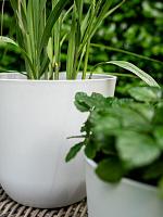 Кашпо Palermo pot white D13 H12 см Кашпо Palermo pot white D13 H12 см