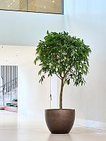 Кашпо Baq gradient couple matt coffee D70 H56 см