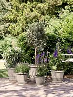 Кашпо Amiga round mushroom beige D30 H20 см