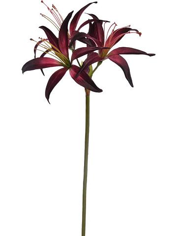 Гиппеаструм бургунди искусственный Гиппеаструм бургунди искусственный
