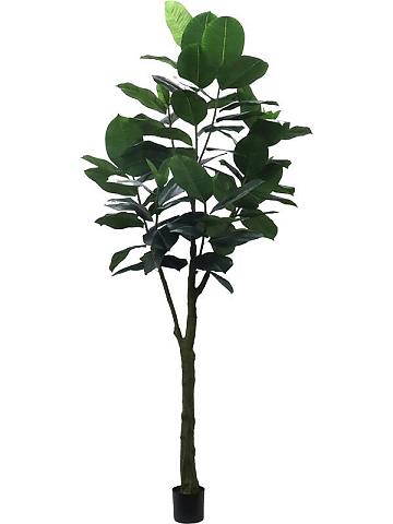 Фикус Эластика искусственный Фикус Эластика искусственный