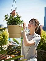 Кашпо подвесное Greenville hanging basket golden sand D24 H21 см