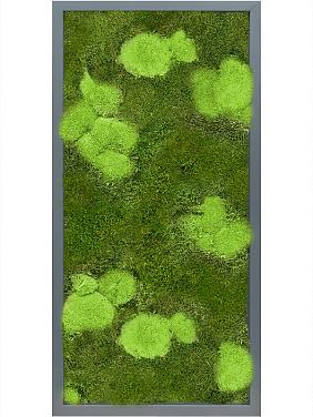Картина из мха mdf ral 7016 satin gloss 30% ball- and 70% flat moss Картина из мха mdf ral 7016 satin gloss 30% ball- and 70% flat moss