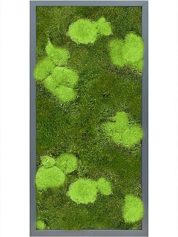 Картина из мха mdf ral 7016 satin gloss 30% ball- and 70% flat moss Картина из мха mdf ral 7016 satin gloss 30% ball- and 70% flat moss