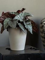 Кашпо Ceramic rosa m vanilla white D13 H16 см