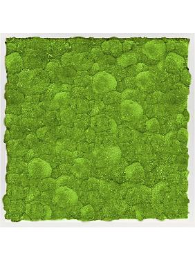 Картина из мха mdf ral 9010 satin gloss 100% ball moss Картина из мха mdf ral 9010 satin gloss 100% ball moss