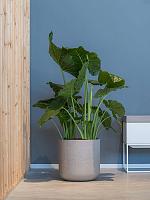 Кашпо Rough charlie xxl grey washed D44 H43 см