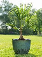 Кашпо Dyon pot ocean (набор 3 шт) D32 H27 см Кашпо Dyon pot ocean (набор 3 шт) D32 H27 см