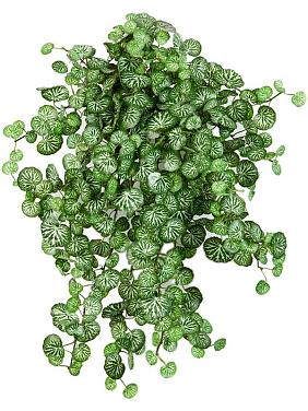 Камнеломка ампельная искусственная Камнеломка ампельная искусственная