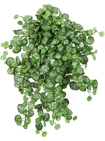 Камнеломка ампельная искусственная Камнеломка ампельная искусственная