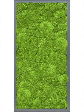 Картина из мха mdf ral 7016 satin gloss 100% ball moss Картина из мха mdf ral 7016 satin gloss 100% ball moss