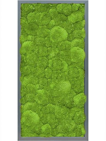 Картина из мха mdf ral 7016 satin gloss 100% ball moss Картина из мха mdf ral 7016 satin gloss 100% ball moss