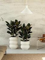 Кашпо Premium amber roll high linnen wit D43 H58 см